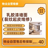 乳胶漆墙面维修（起皮、裂纹类）