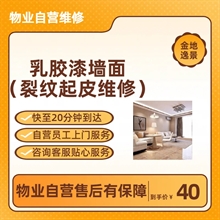 乳胶漆墙面维修（起皮、裂纹类）