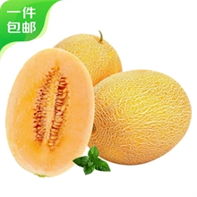 哈密瓜